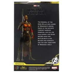 Disney Okoye Doll By World Of EPI – Black Panther: Wakanda Forever -Deals girls Store unnamed file 811
